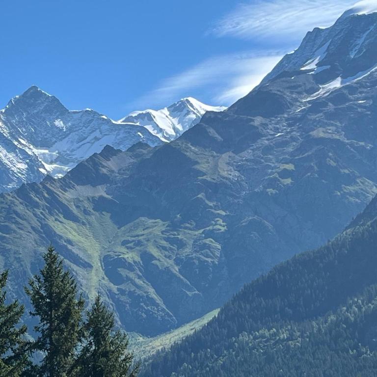 Studio premium face au Miage - Télécabines à 2 min à pied - Appartement avec Vue sur la Montagne - 23