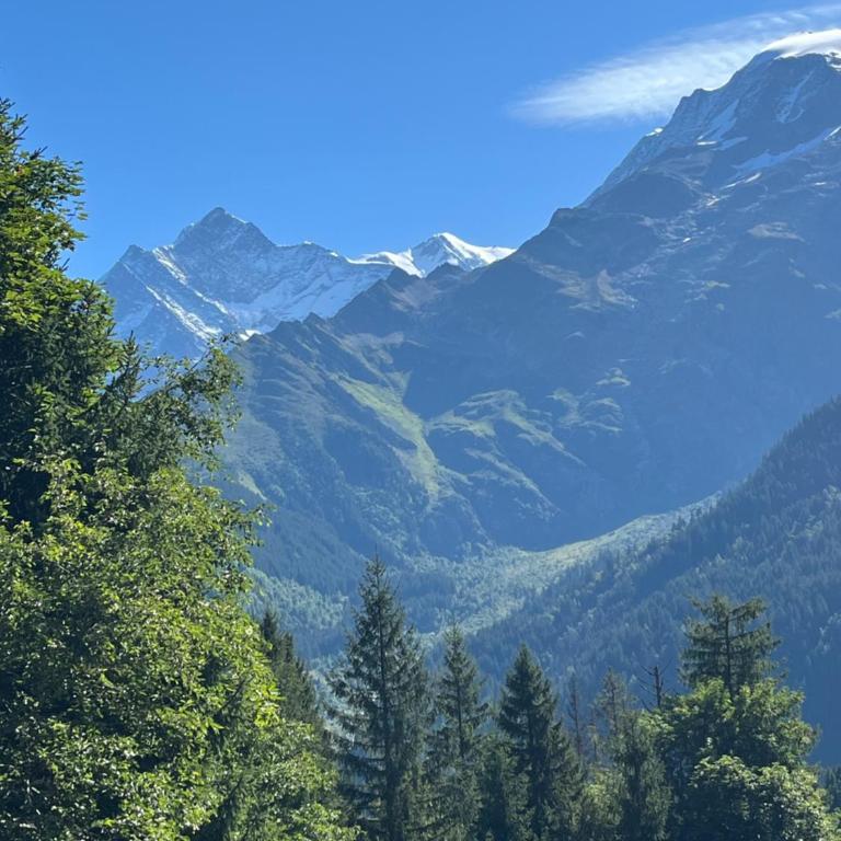 Studio premium face au Miage - Télécabines à 2 min à pied - Appartement avec Vue sur la Montagne - 22