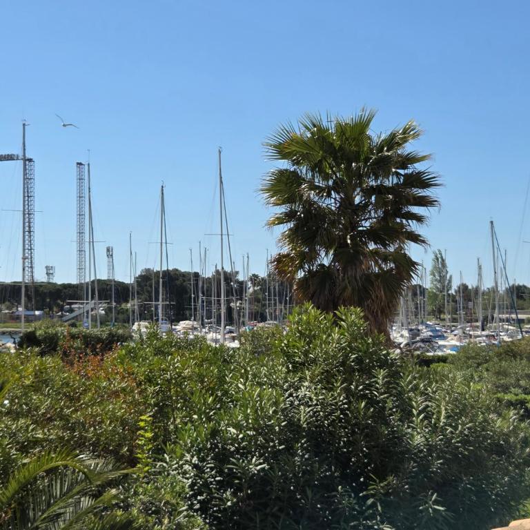 ABBAYE DU CAP Très joli 2 pièces moderne et climatisé proche port Cap d'Agde - Appartamento con 1 Camera da Letto e Balcone - 4