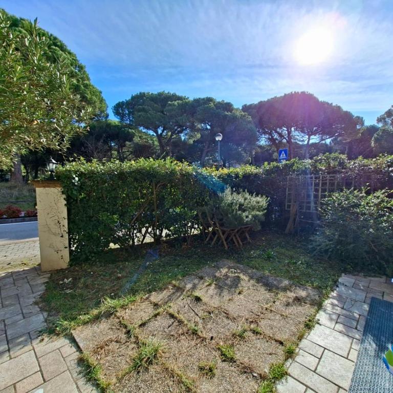 Aceri Rossi family apartments - Appartamento - Piano Terra - 12