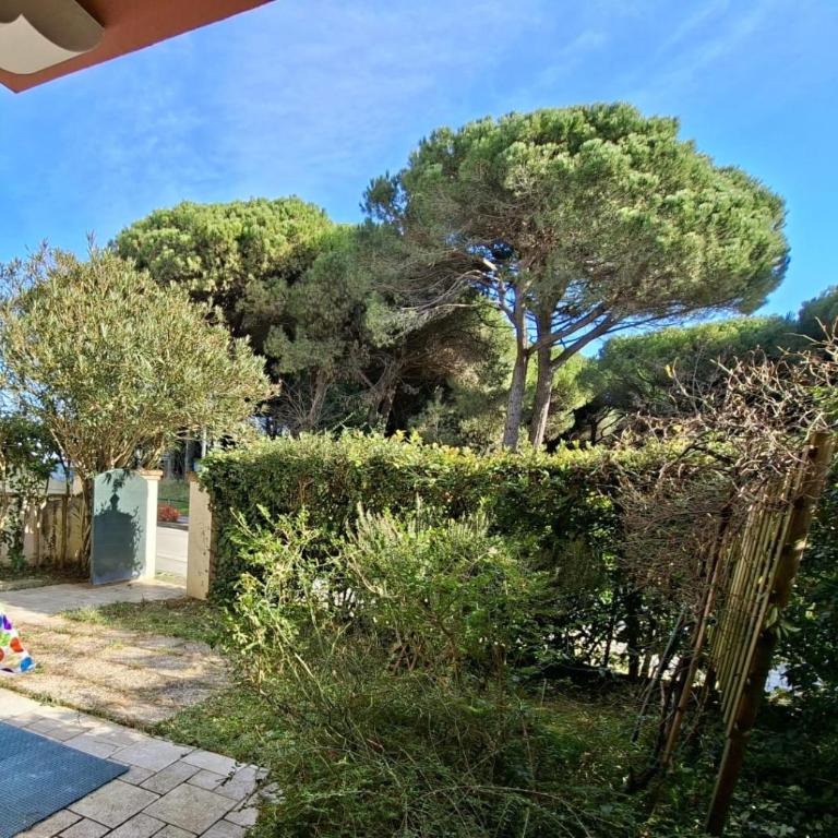 Aceri Rossi family apartments - Appartamento - Piano Terra - 11