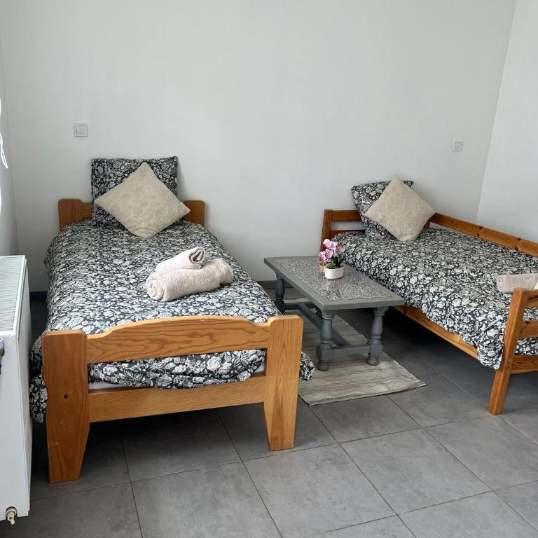 studios N5 - Appartement 1 Chambre - 1