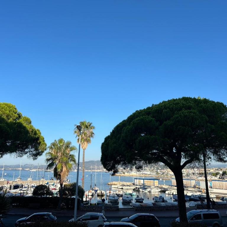 Croisette Palm Beach Amazing SeaView - Appartement 1 Chambre - 16