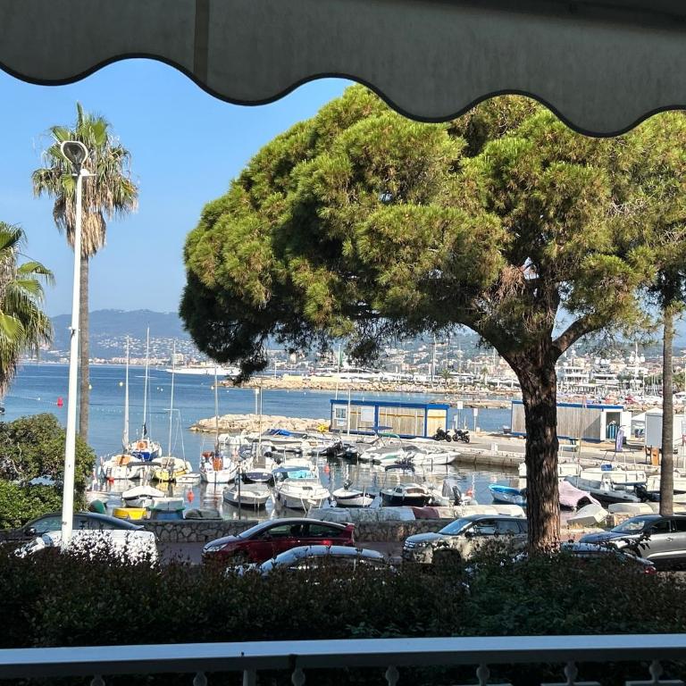 Croisette Palm Beach Amazing SeaView - Appartement 1 Chambre - 6