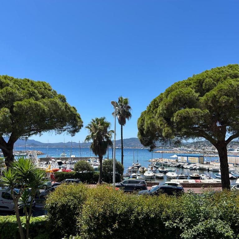 Croisette Palm Beach Amazing SeaView - Appartement 1 Chambre - 1