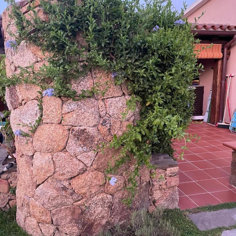 San Teodoro AM Apartment - Appartamento con 1 Camera da Letto - 6