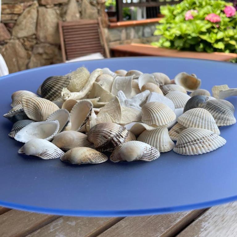San Teodoro AM Apartment - Appartamento con 1 Camera da Letto - 23