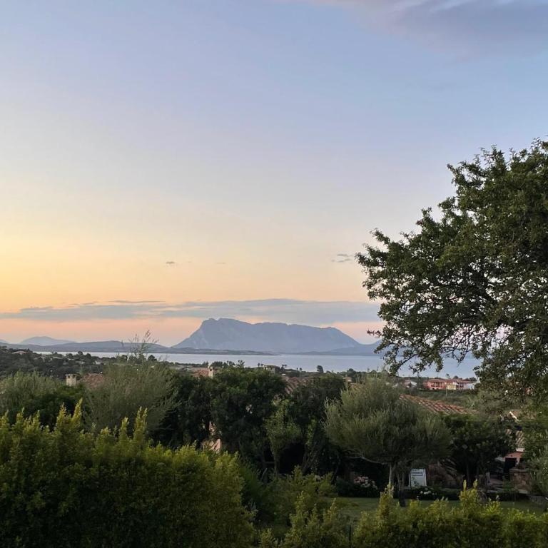 San Teodoro AM Apartment - Appartamento con 1 Camera da Letto - 3