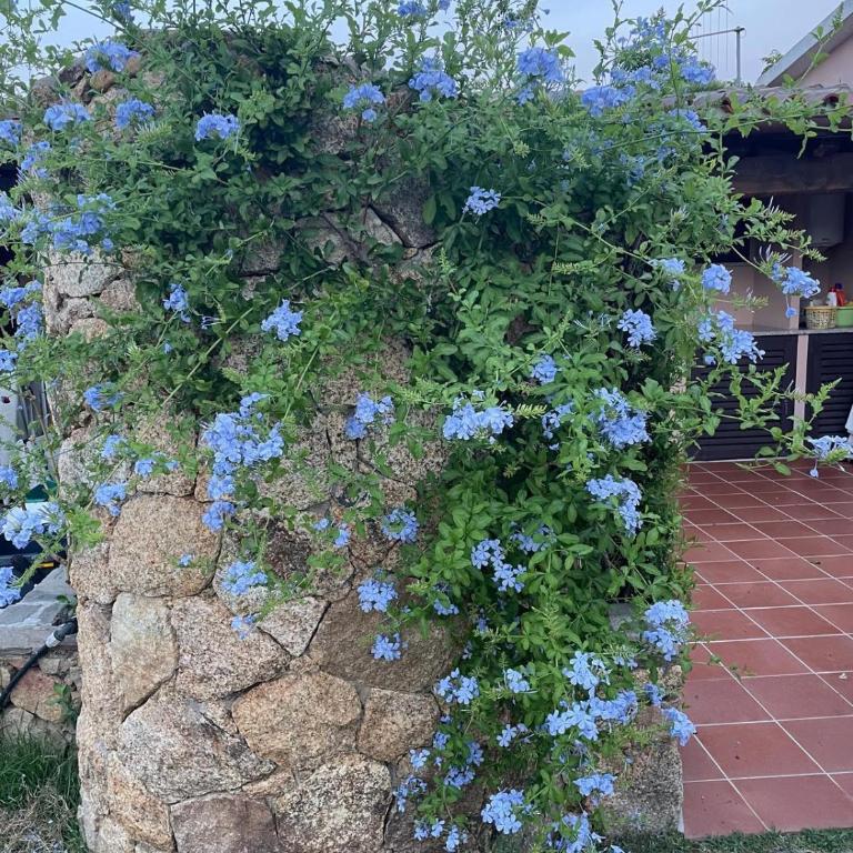 San Teodoro AM Apartment - Appartamento con 1 Camera da Letto - 28