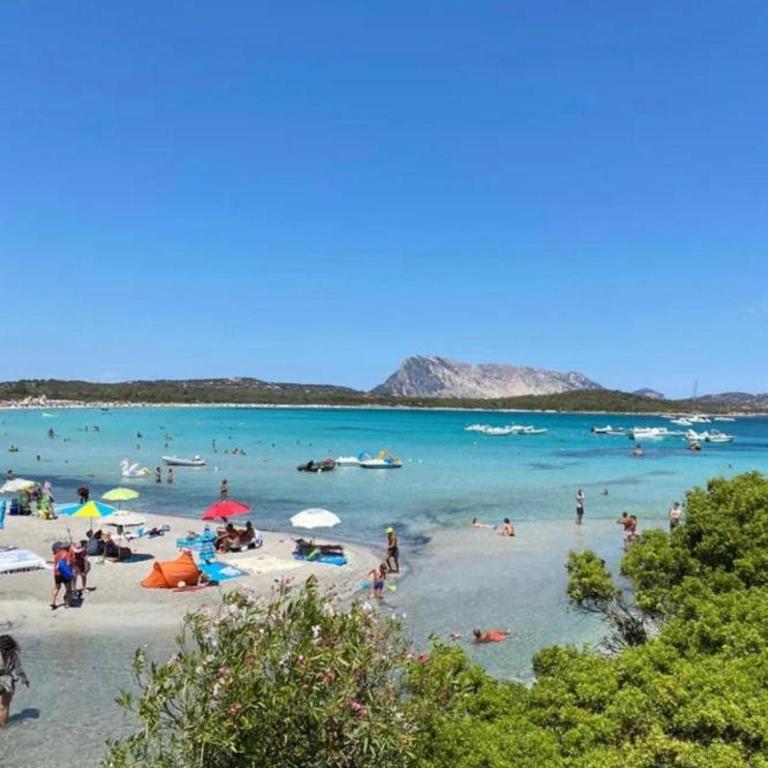 San Teodoro AM Apartment - Appartamento con 1 Camera da Letto - 31