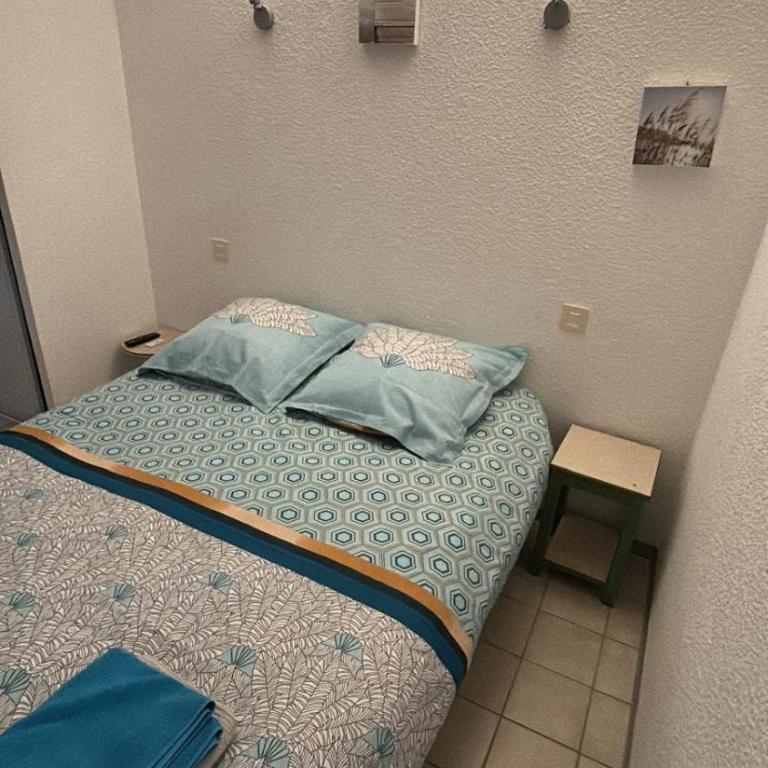 Logement cosy proche des thermes - Appartement 1 Chambre - 14