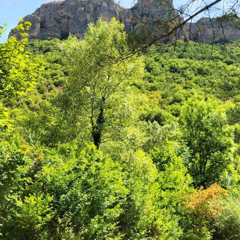 Logement cosy proche des thermes - Appartement 1 Chambre - 17
