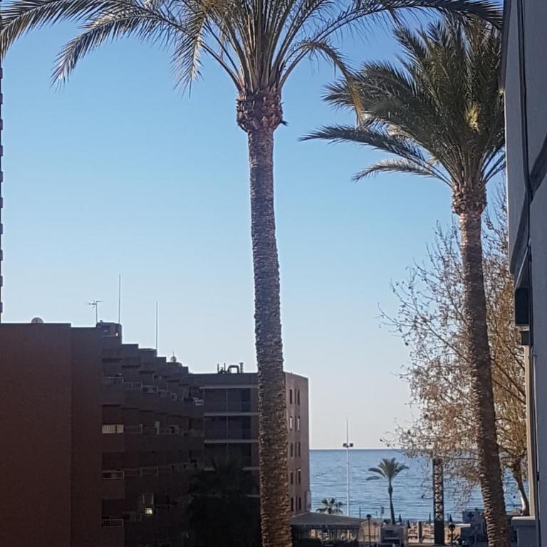 Coqueto Apartment 100m from Levante Beach - Two-Bedroom Apartment - 25