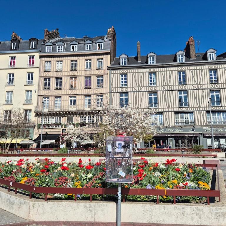 Le Saint Éloi 6 pers Parking Vieux Marché - Apartment mit 2 Schlafzimmern - 22
