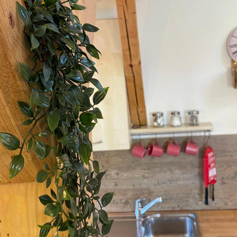 Haus mit Garten und Kamin - Apartment mit 1 Schlafzimmer - 23