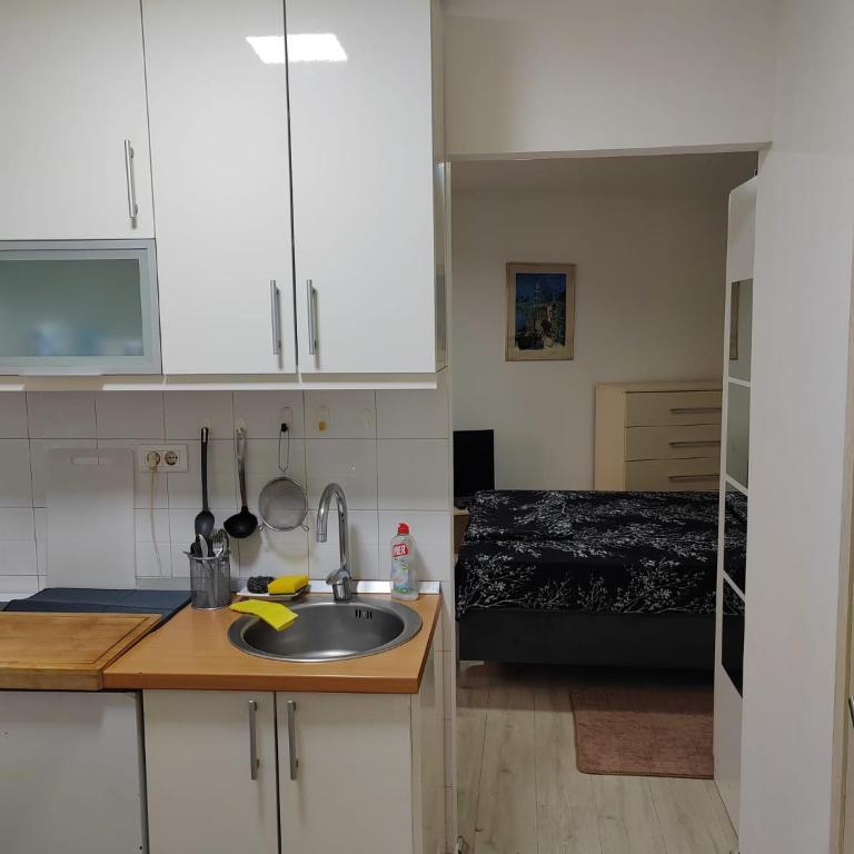 Belgrade walking zone - Kalemegdan fortress - One-Bedroom Apartment - 7