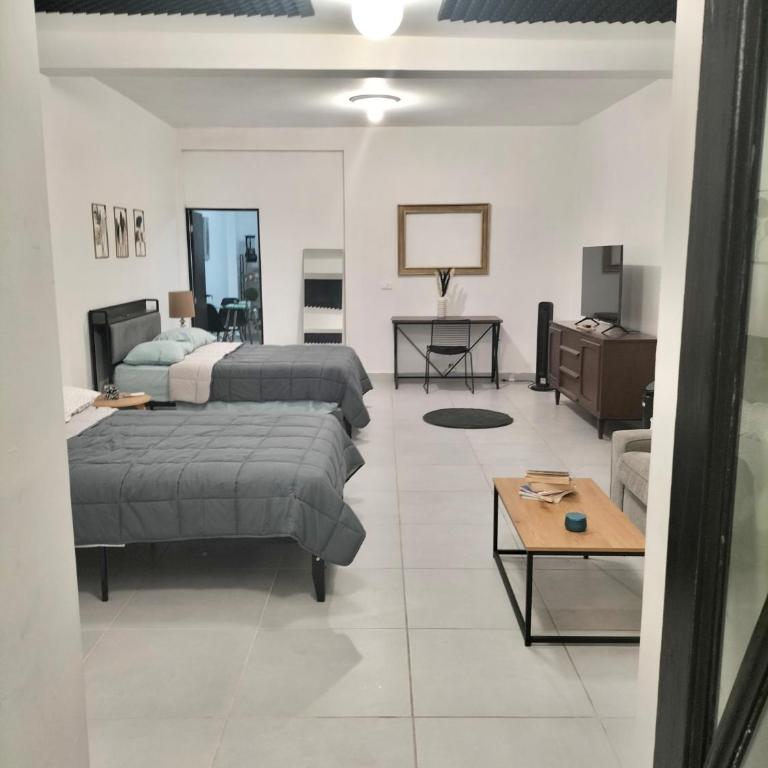 Departamento Loft Monterrey cerca de Fundidora, Macroplaza y Barrio Antiguo - Two-Bedroom Apartment - 5