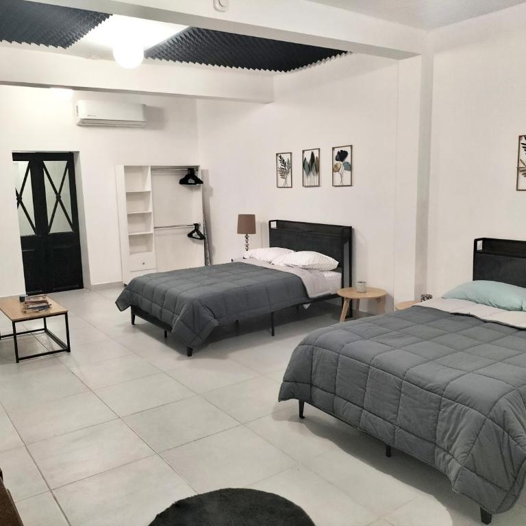 Departamento Loft Monterrey cerca de Fundidora, Macroplaza y Barrio Antiguo - Two-Bedroom Apartment - 7
