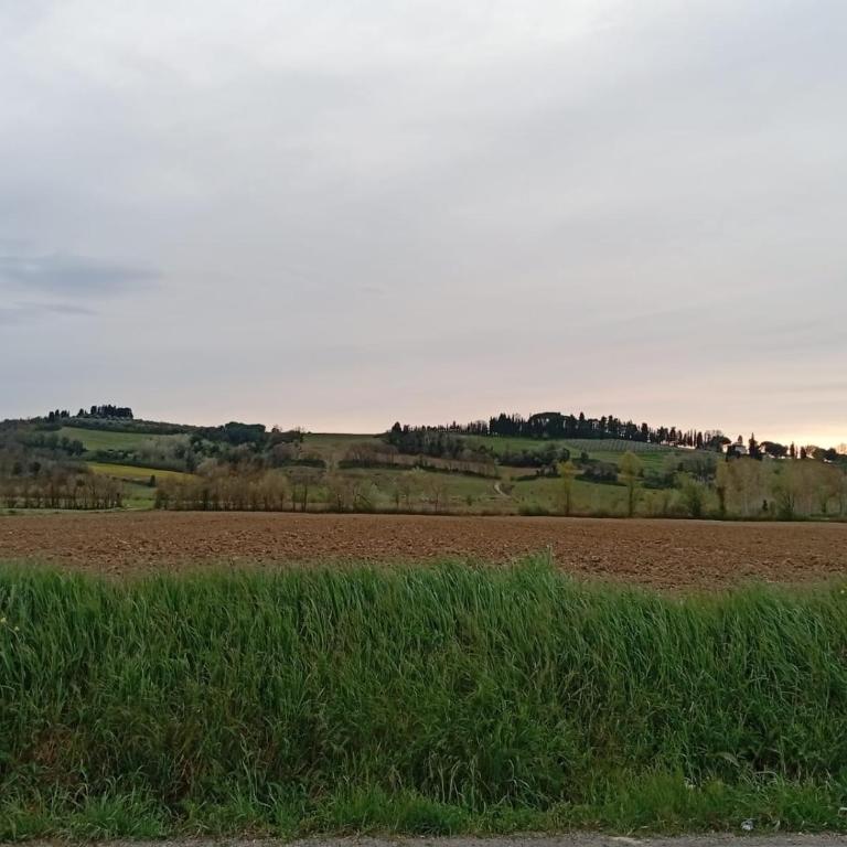 Tre Civette sul comò di San Gimignano - Villa con 2 Camere da Letto - 52