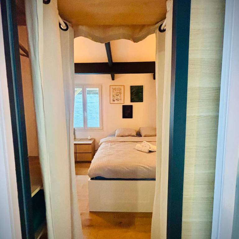 Loft avec jardin bordeaux centre - Appartement - Rez-de-Chaussée - 9