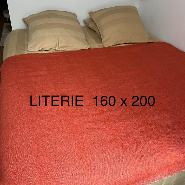 Posez vos valises ! La ville vous attend - Appartement 1 Chambre - 13