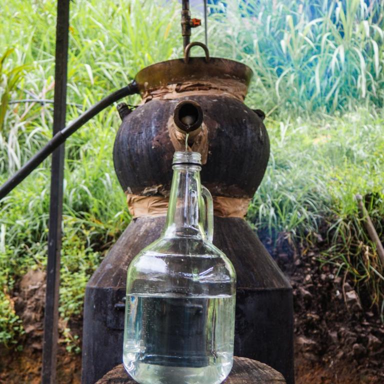 B&B - Trekking y Senderismo - Habitación Doble con baño privado - 31