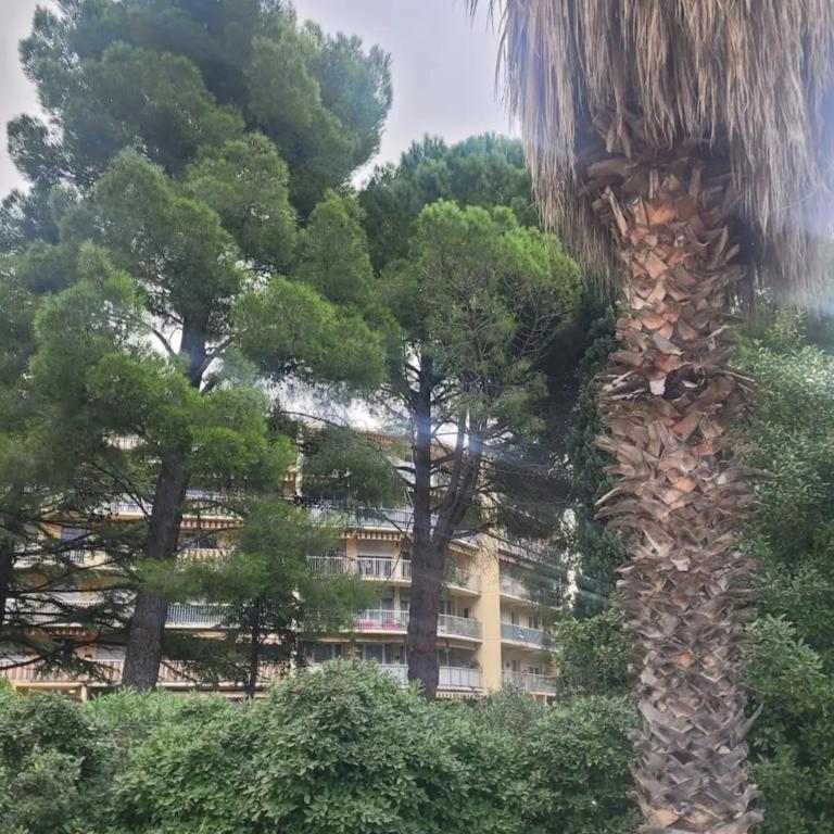 SolyMar - Appartamento con 1 Camera da Letto - 1