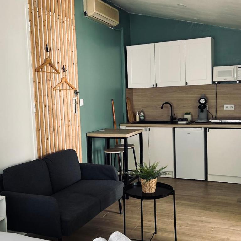 Studio refait à neuf avec jardin Aigues Mortes - Apartment mit 1 Schlafzimmer - 2