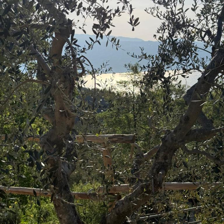 Dream Gardasee Chalet con giardino mediterraneo - Four-Bedroom House - 76