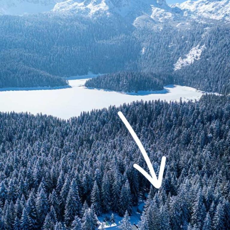 Black Lake Chalet-300m from Black Lake,Durmitor - One-Bedroom House - 3