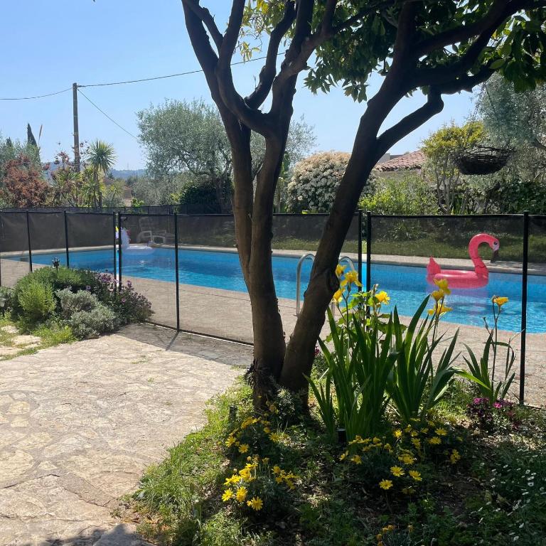 Villa Lou Soulas - Bas de villa avec piscine proche de Nice - Maison 1 Chambre - 6