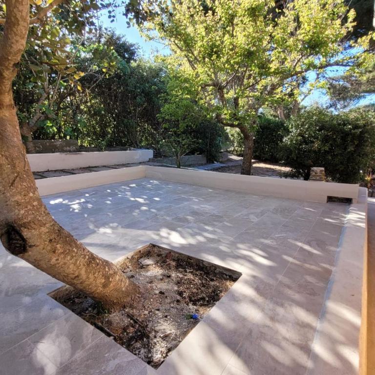 Villa il Gabbiano Stintino - Casa con 2 Camere da Letto - 13