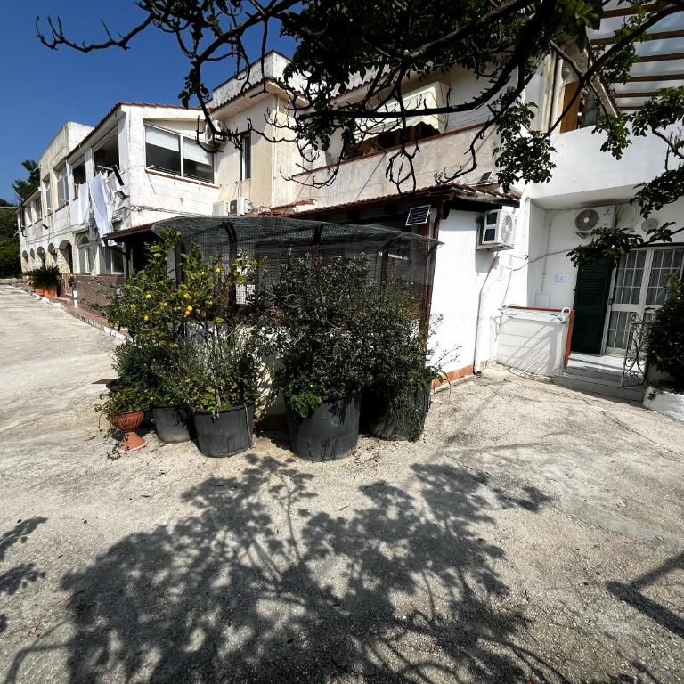 Casa Irrose, bilocale completo di tutti i servizi, in zona tranquilla - One-Bedroom Apartment - 24