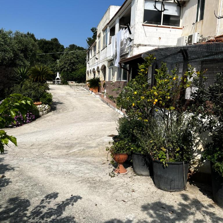 Casa Irrose, bilocale completo di tutti i servizi, in zona tranquilla - One-Bedroom Apartment - 25