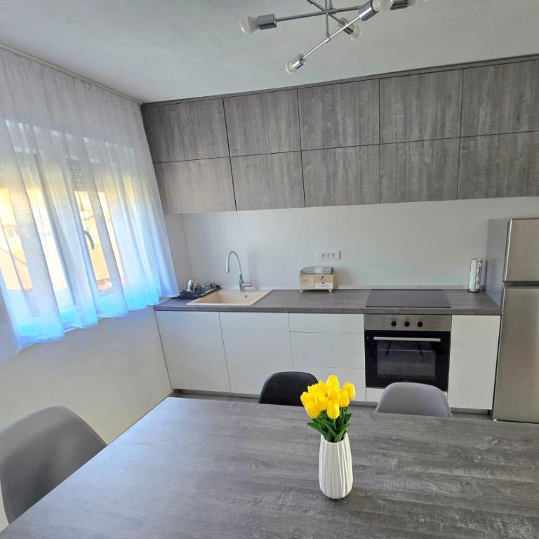 Apartman Zeleni Vir - Apartman sa 2 Spavaće Sobe - 10