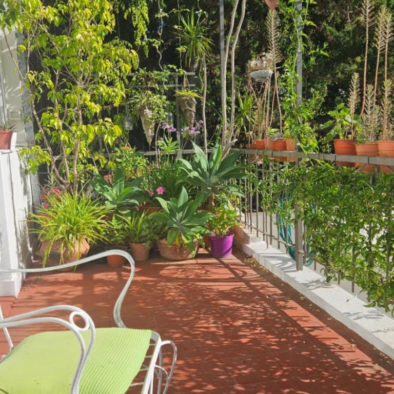 Departamento PH en Martinez - Apartamento de 1 dormitorio - 36