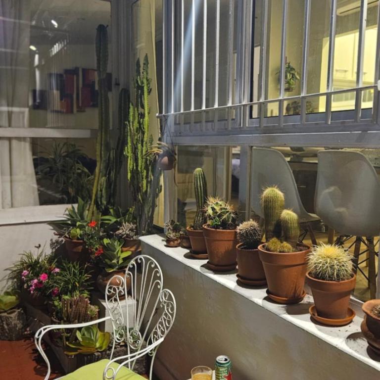 Departamento PH en Martinez - Apartamento de 1 dormitorio - 38