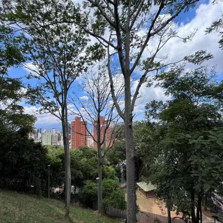 Confort y Estilo- Nuevo Frente al Bosque Encantado - Two-Bedroom Apartment - 37