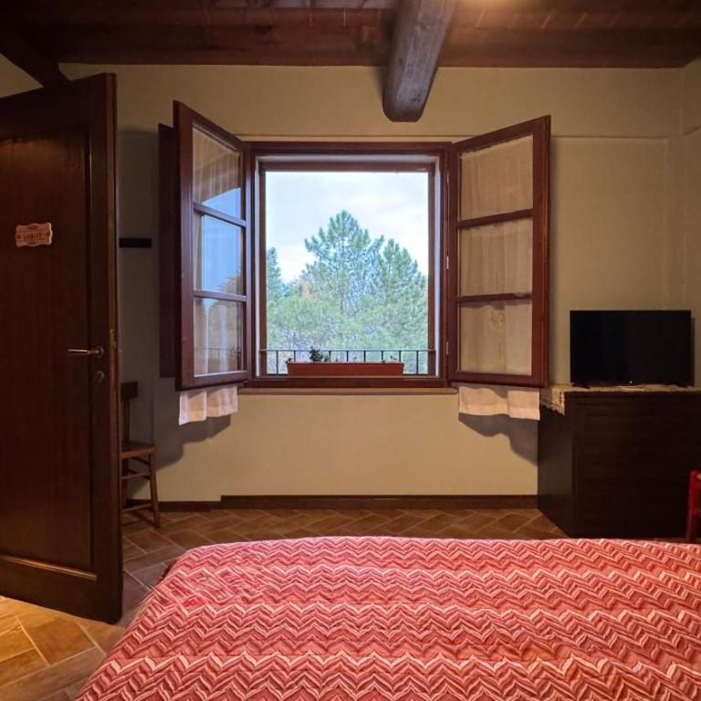 Apartment with Pool near San Gimignano - I Senesi - Appartamento con 1 Camera da Letto - 4