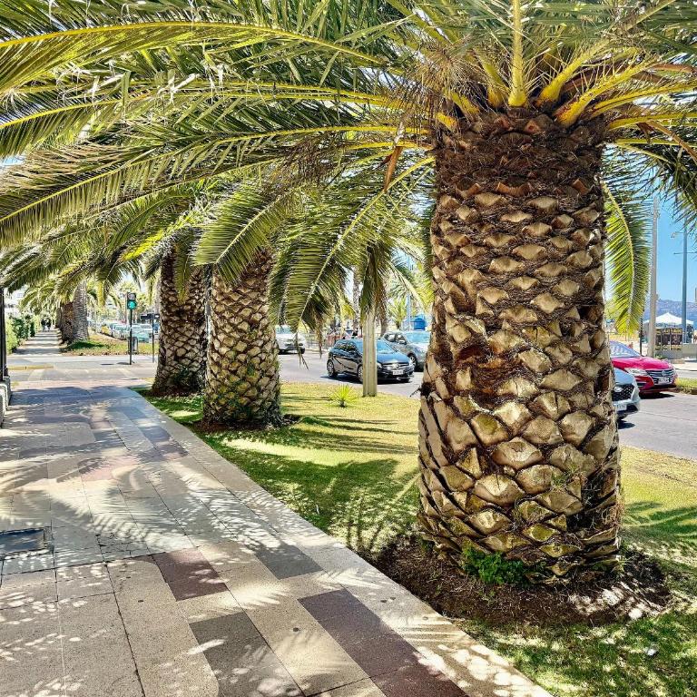 Incredible Ocean View on San Martin Avenue - Apartment - 33