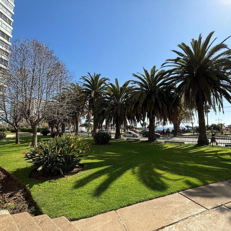 Remodeled apartment with ocean view on San Martin - Apartment - 25