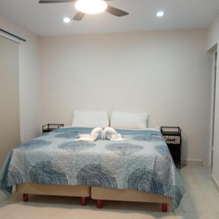 Hermoso apartamento nuevo - One-Bedroom Apartment - 26