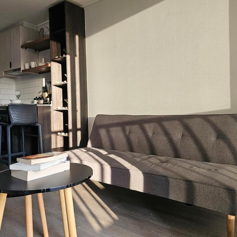Apartamento Atardecer santiago ULA - One-Bedroom Apartment - 38