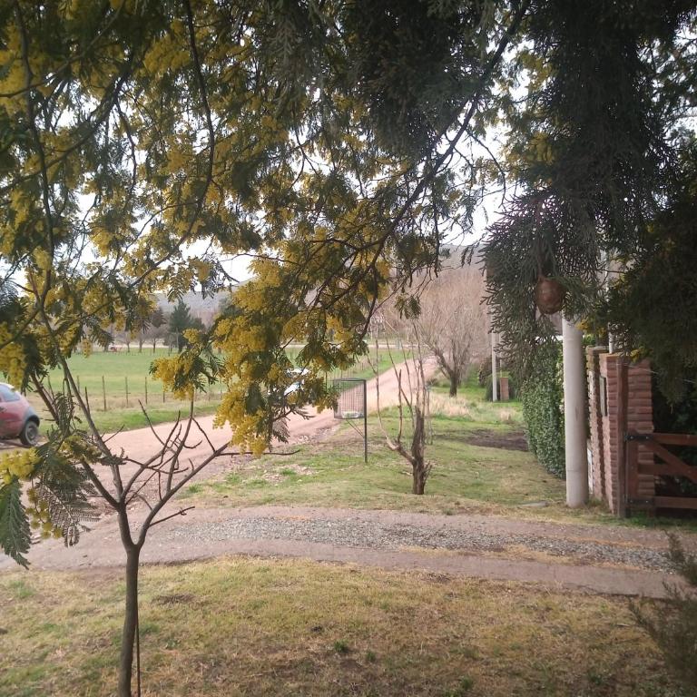 Cabañas Las Luciérnagas - Casa de 2 dormitorios - 27