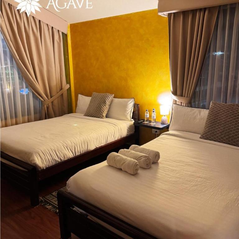 Hotel Casa Agave - Triple Room - 1