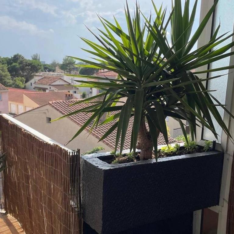 Canet Plage : Studio cosy avec terrasse et wifi, idéal pour 2 - FR-1-696-90 - Estudio - 9