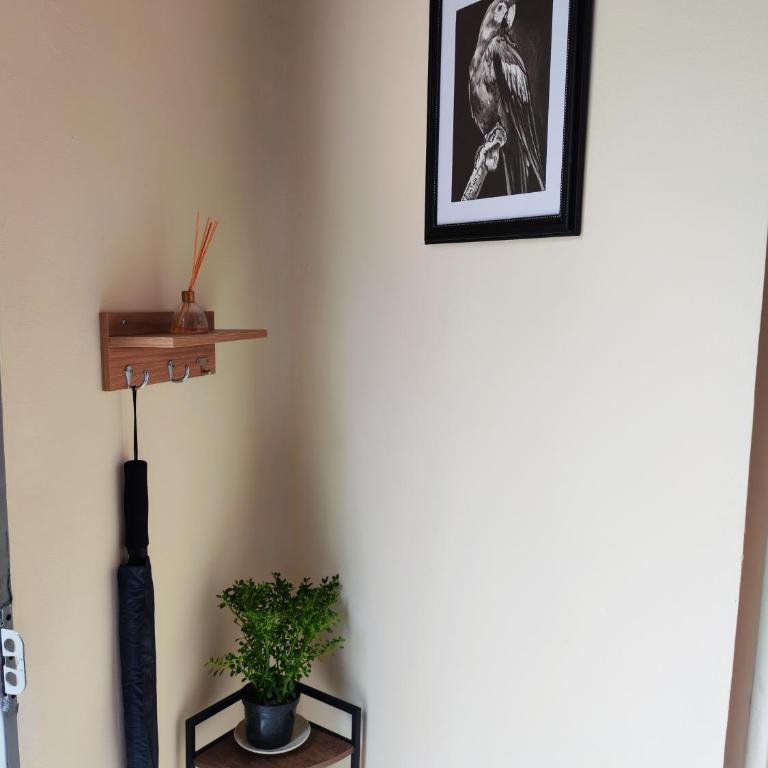 Apartaestudio equipado en Duitama sector UPTC - Apartamento - 20