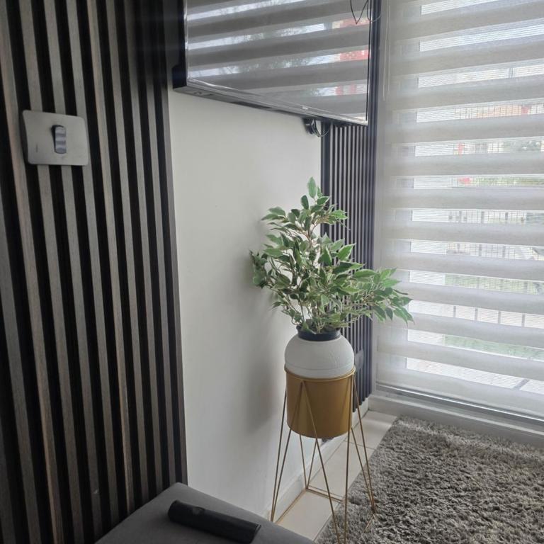 Calido departamento 3 dormitorios a un costado ruta 5 sur - Three-Bedroom Apartment - 2