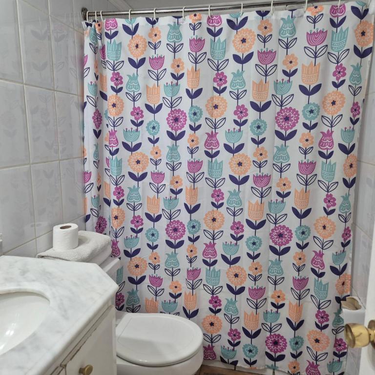 Providencia Departamento lado Metro Pedro de Valdivia - Apartamento de 1 dormitorio - 5