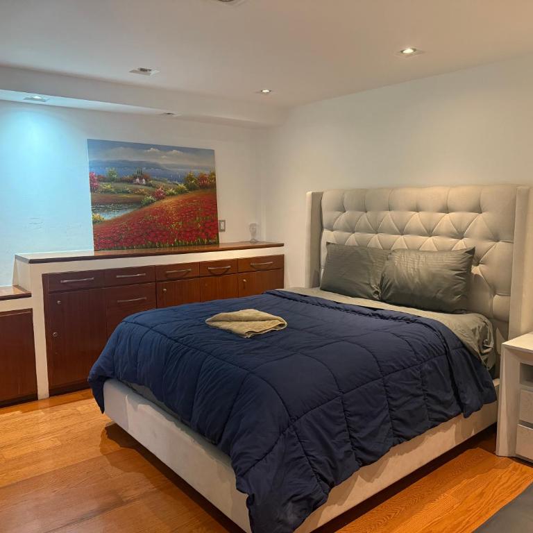 Casa Hipodromo Condesa - Apartamento Deluxe de 1 dormitorio con vistas al jardín - 2